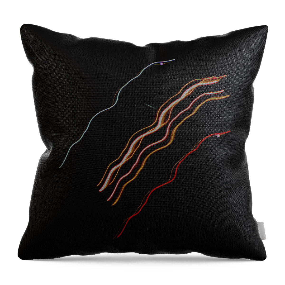 Light Throw Pillow featuring the photograph Streaks of Light - Departing Flight by Christopher Reed