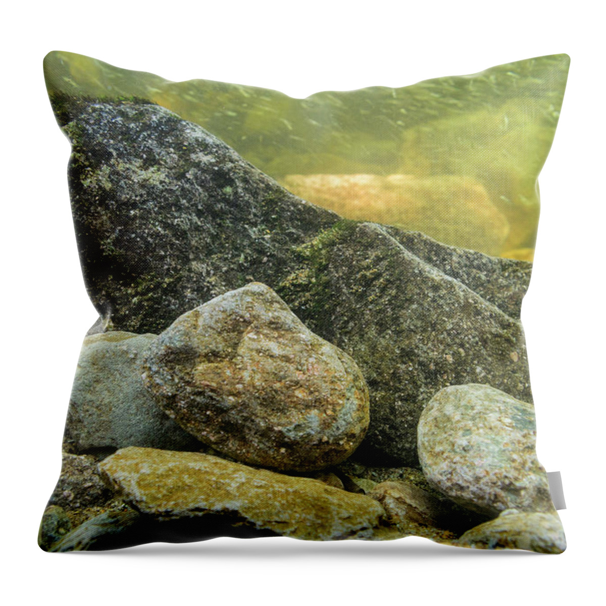 Blue Ridge Mountains Throw Pillow featuring the photograph Stream Bottom by Melissa Southern