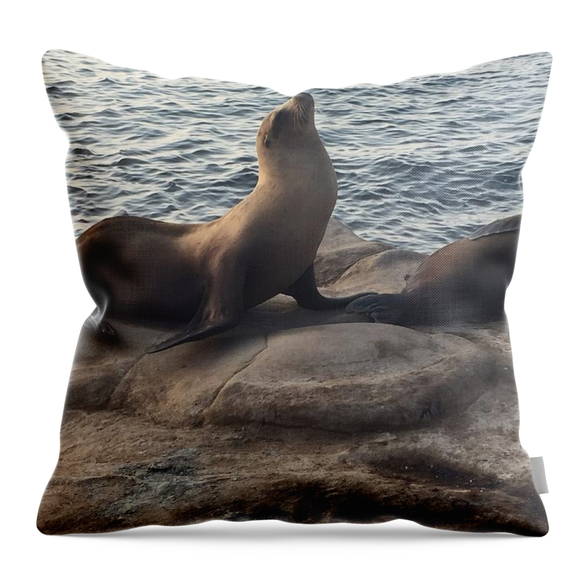 Seal Throw Pillow featuring the photograph Strike a Pose by Lisa White