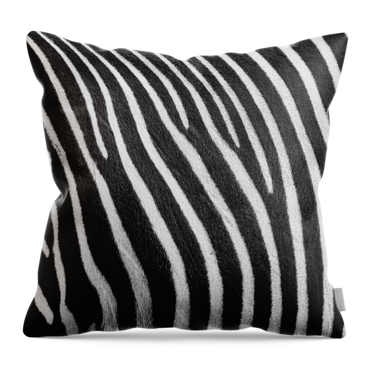 Zoo Boise Throw Pillow featuring the photograph Stripes by Melissa Southern