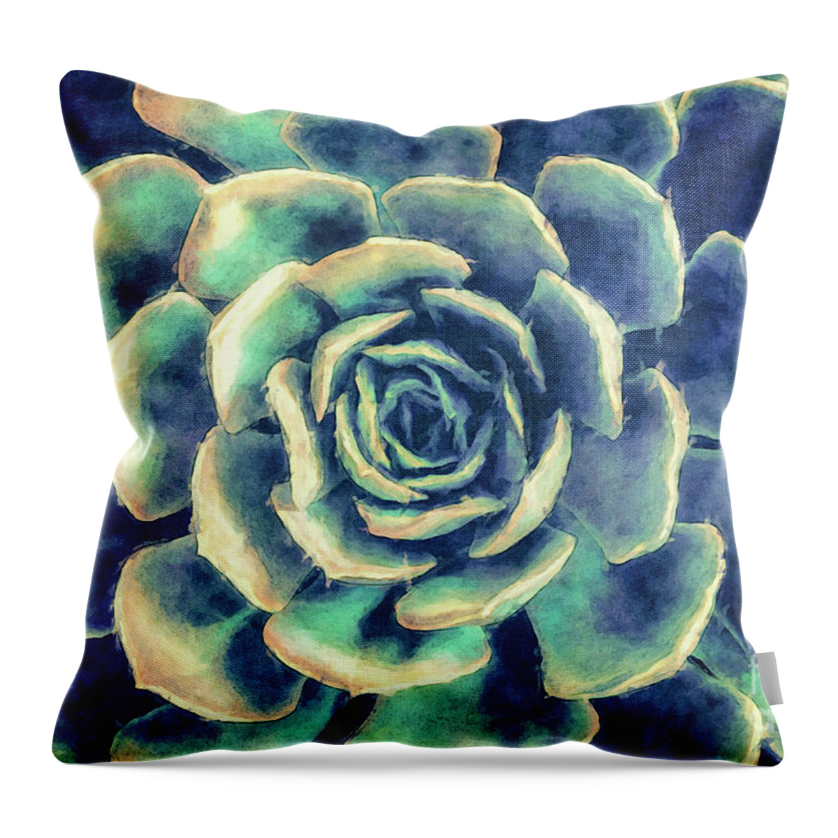 Succulent Throw Pillow featuring the digital art Succulent Plant by Phil Perkins