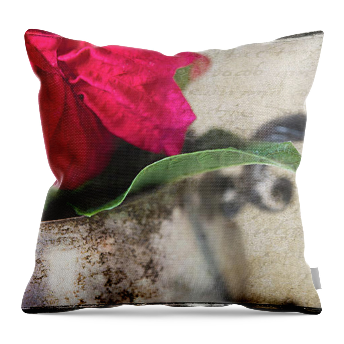 Fine Art Photography Throw Pillow featuring the photograph Sugar Bowl of Poinsettia by John Strong
