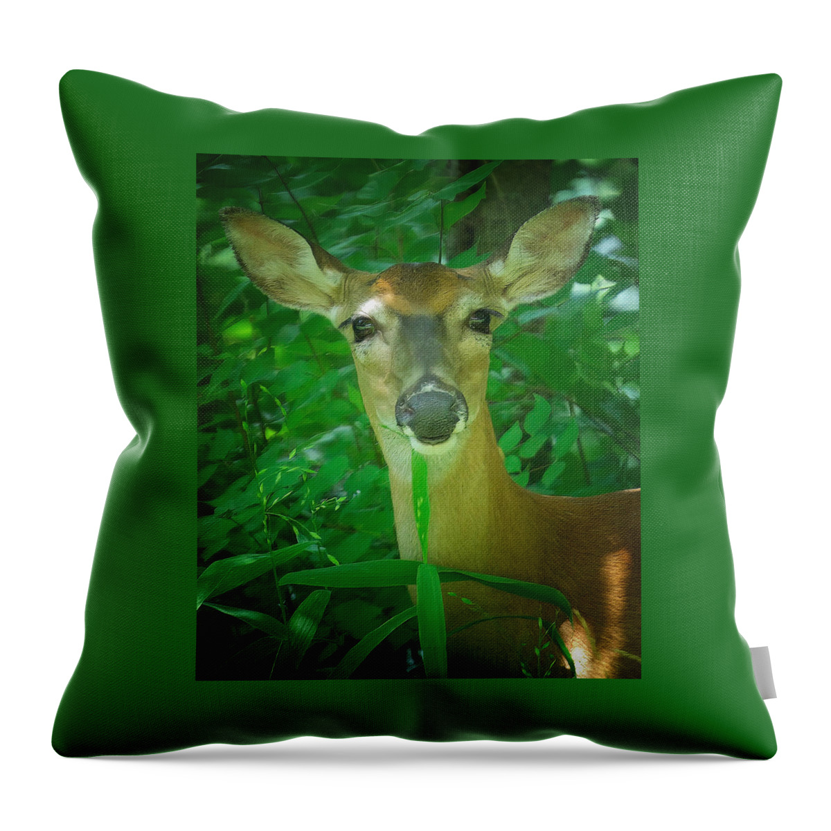 Deer Throw Pillow featuring the photograph Summer Lady by DArcy Evans
