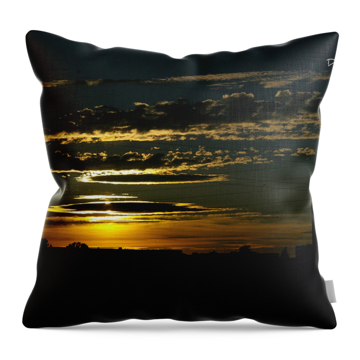  Throw Pillow featuring the photograph Sun Kissed by Kristy Urain