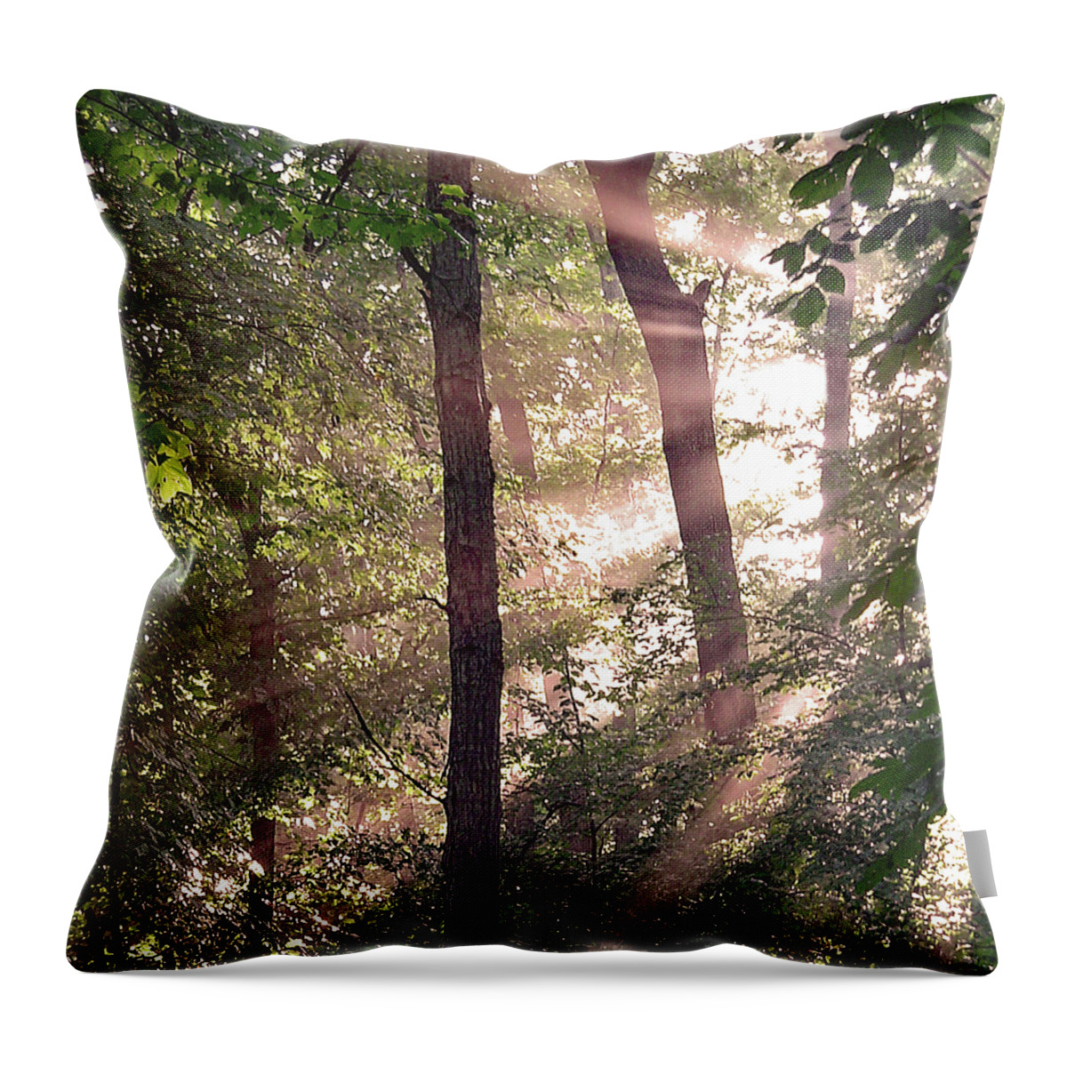 Trees Throw Pillow featuring the digital art Sun Rays in Virginia by Nancy Olivia Hoffmann
