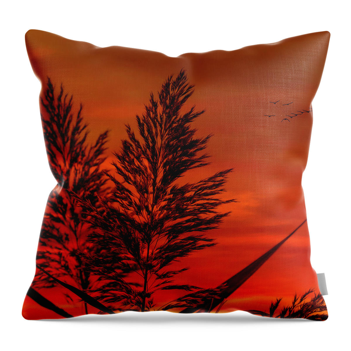 Sunset Throw Pillow featuring the photograph Sundown by Cathy Kovarik