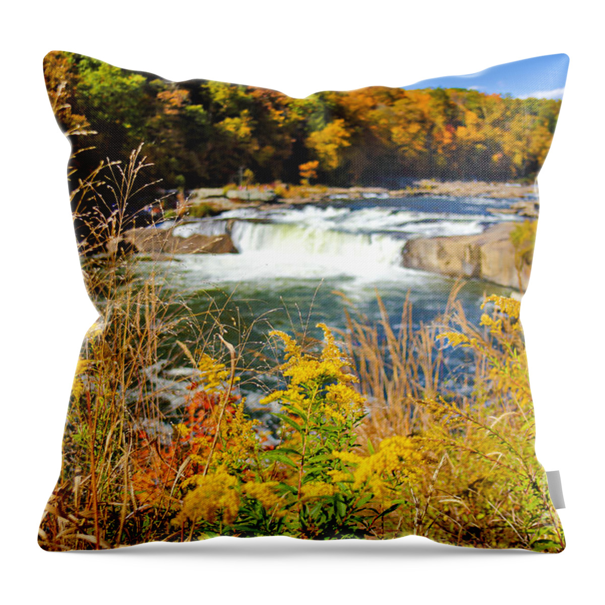 Ohiopyle Falls Throw Pillow featuring the photograph Sunny Fall Day at Ohiopyle Falls by SCB Captures
