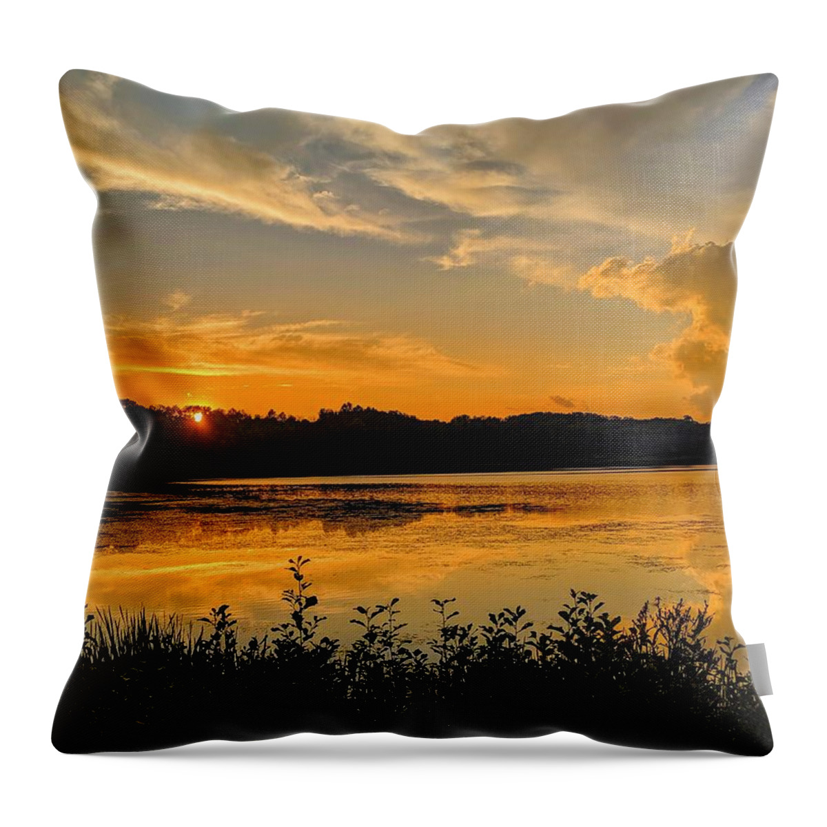  Throw Pillow featuring the photograph Sunny Lake Park Sunset by Brad Nellis