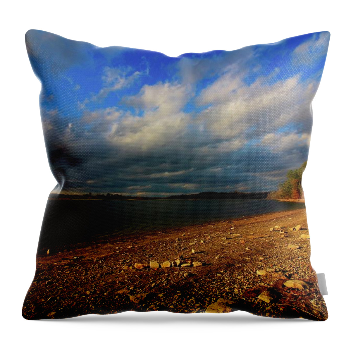 Landscape Throw Pillow featuring the photograph Sunny Shore by Mary Walchuck