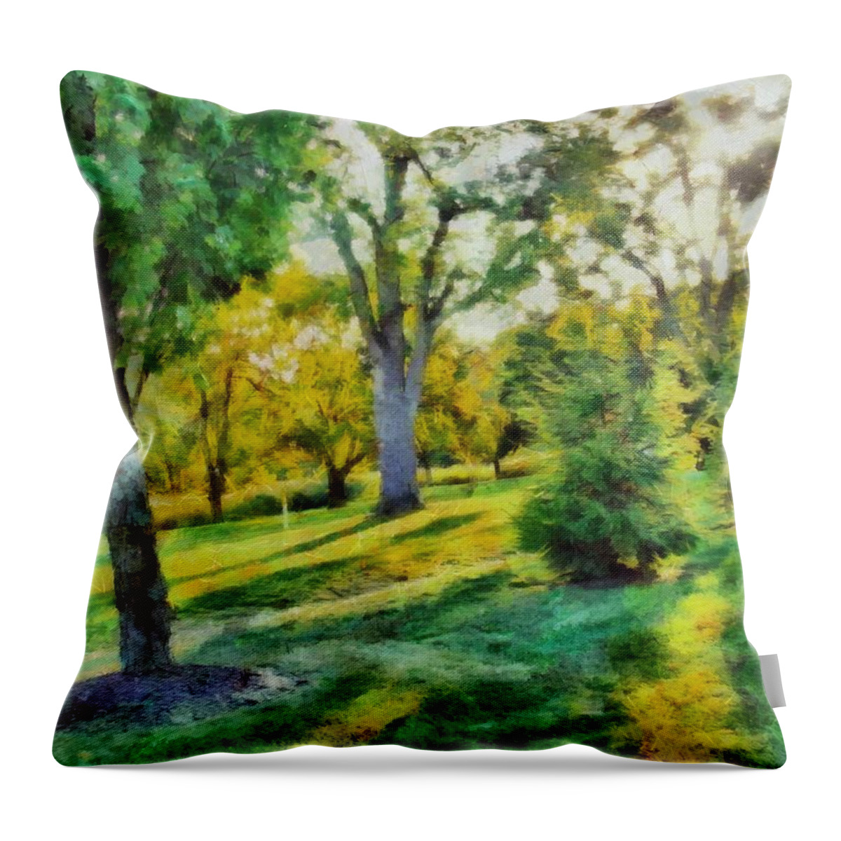 Sunny Throw Pillow featuring the mixed media Sunny Yard by Christopher Reed