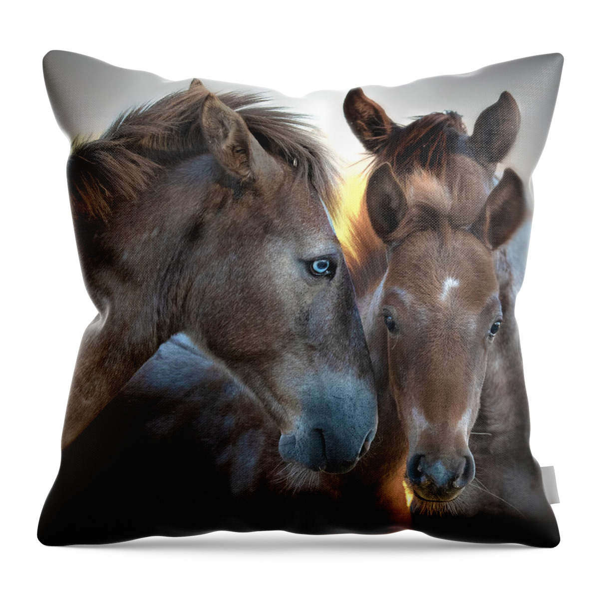 Stallion Throw Pillow featuring the photograph Sunrise Mare by Paul Martin