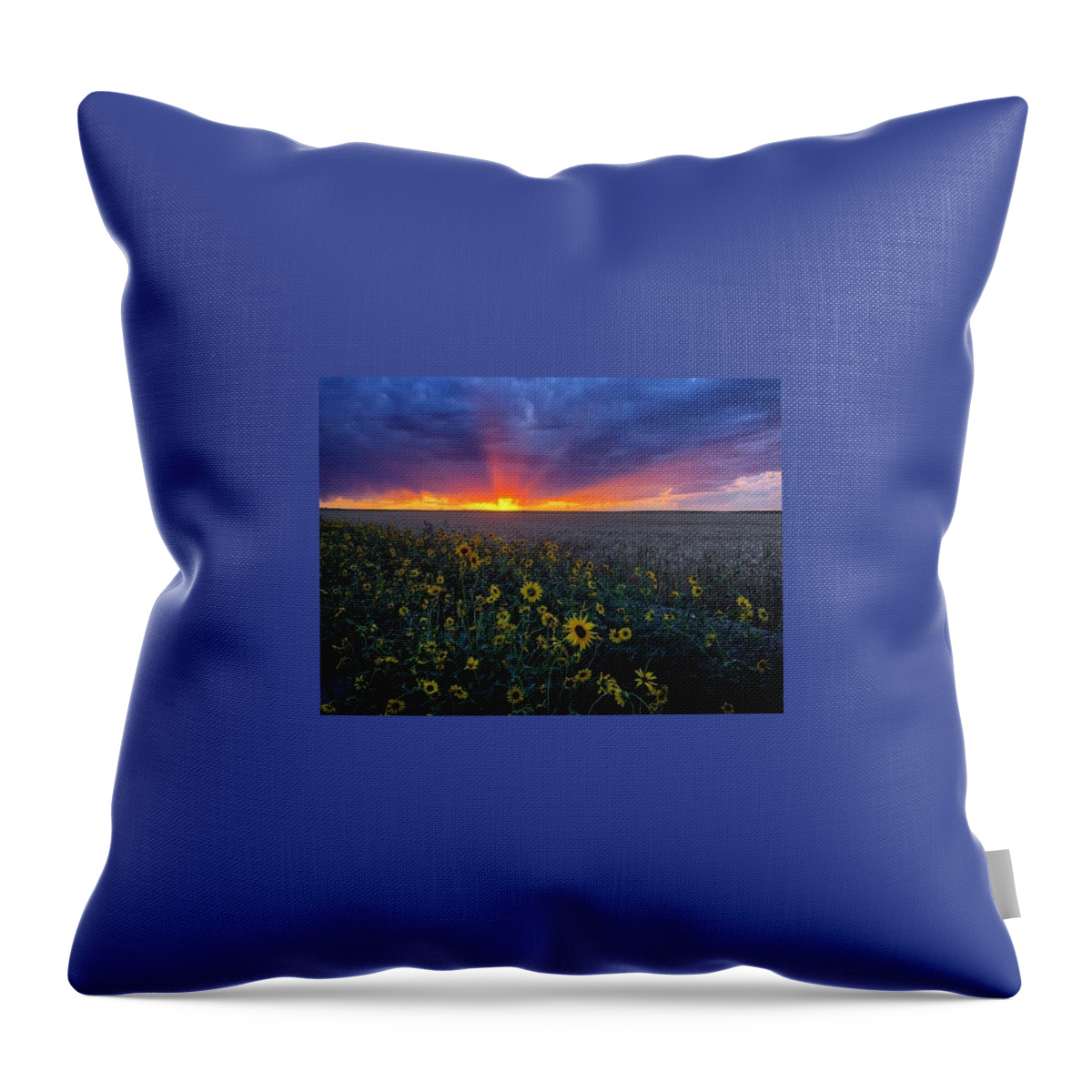 Sunset Throw Pillow featuring the photograph Sunset 1 by Julie Powell