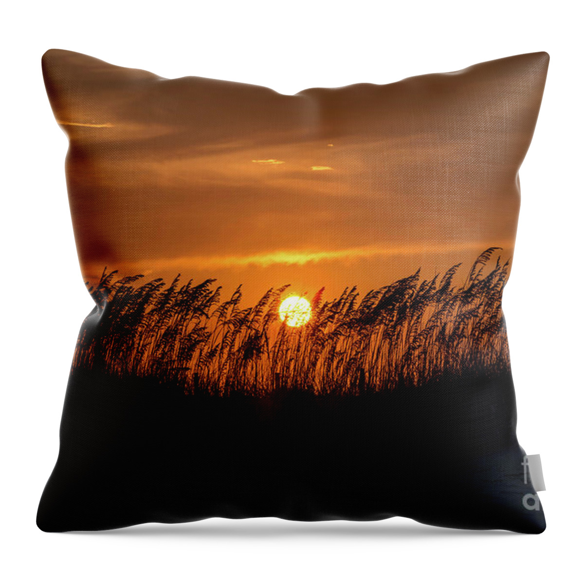 Sunset Throw Pillow featuring the photograph Sunset Behind the Sand Dunes by Beachtown Views