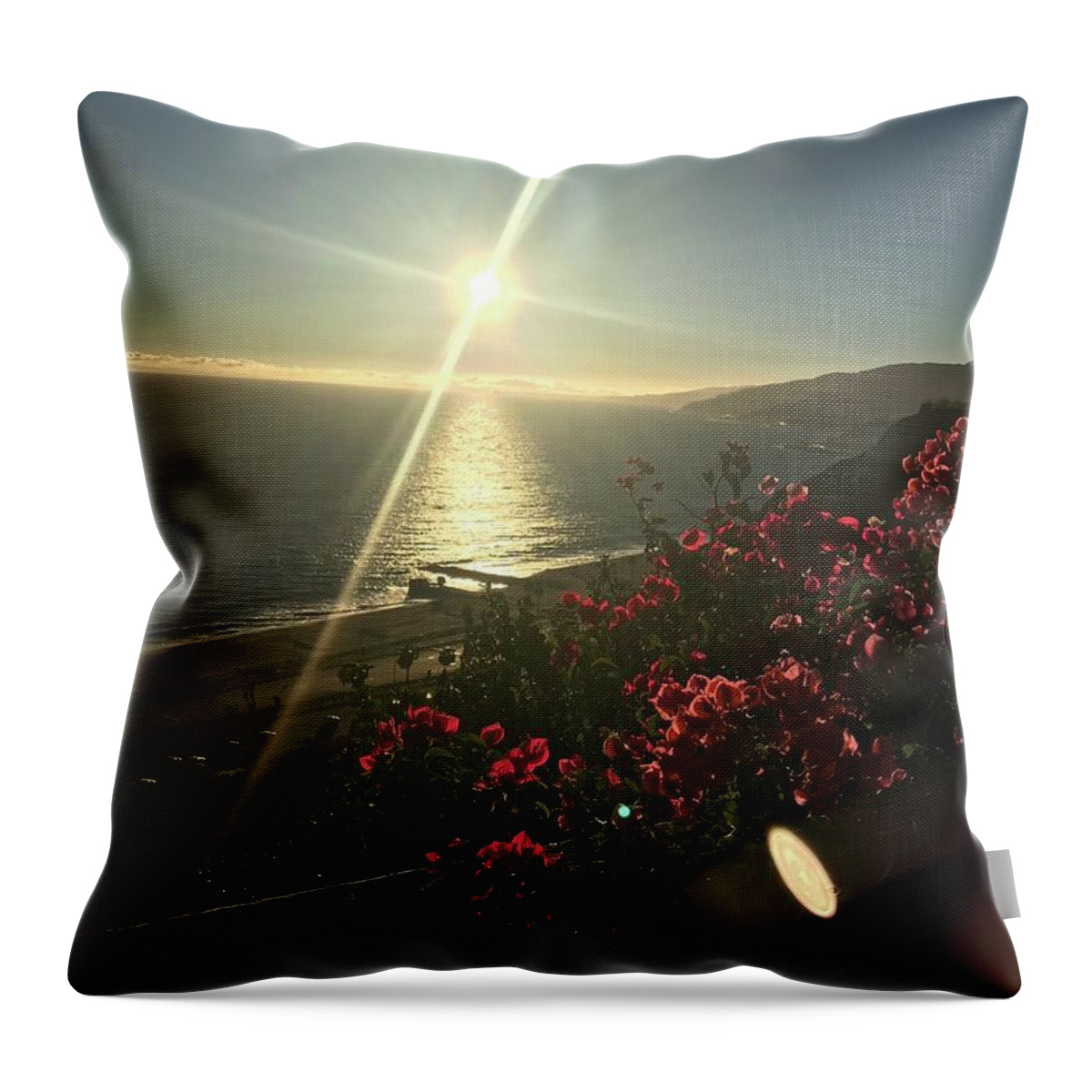 Photography Throw Pillow featuring the photograph Sunset In Malibu by Lisa White
