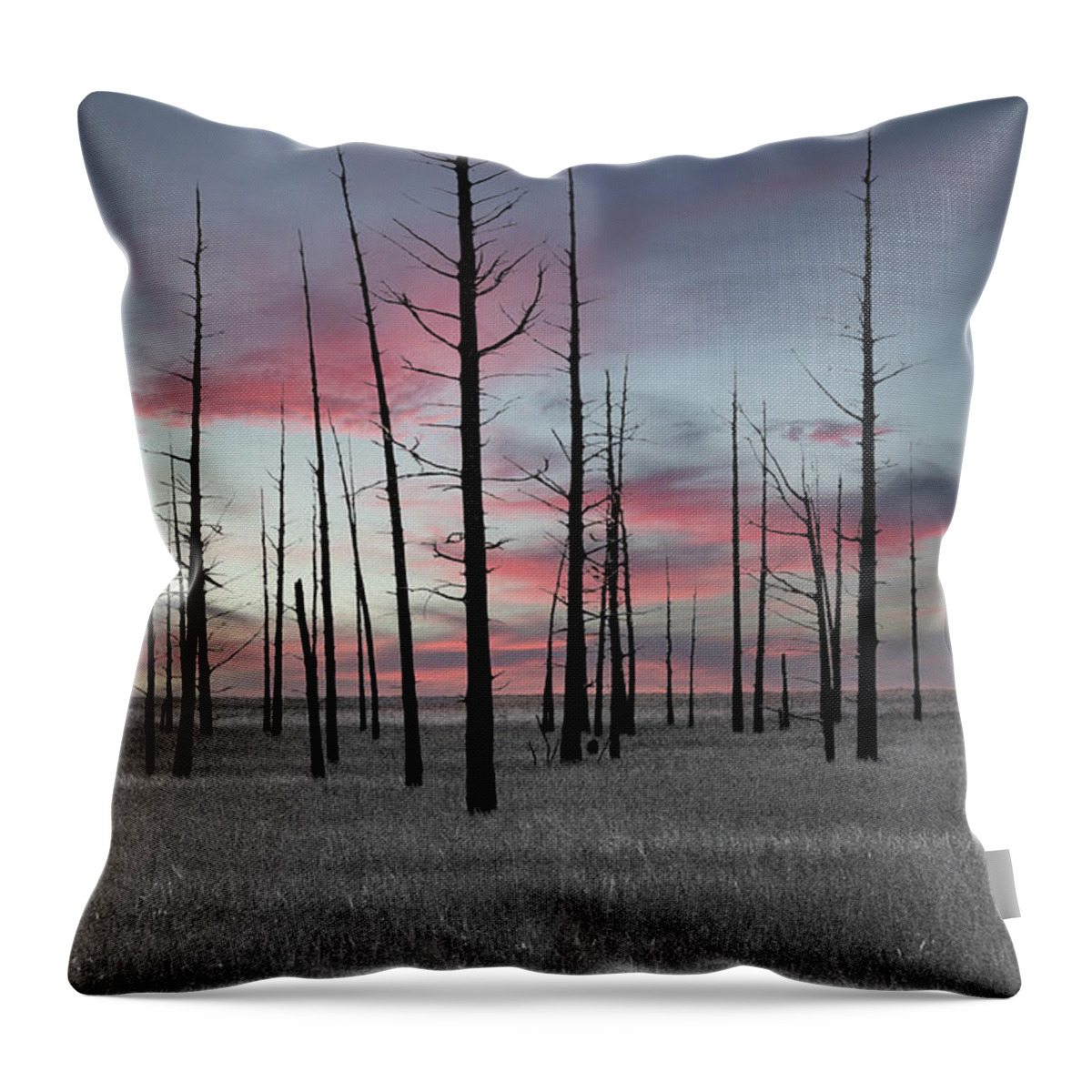 Art Throw Pillow featuring the photograph Sunset in the Cedar Swamp by Louis Dallara