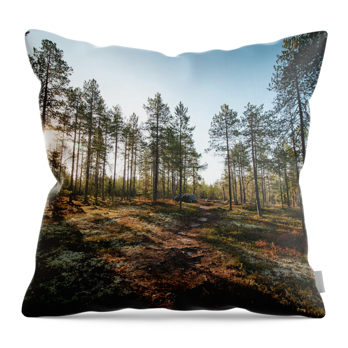 Outside Throw Pillow featuring the photograph Sunset in the Finnish wilderness by Vaclav Sonnek