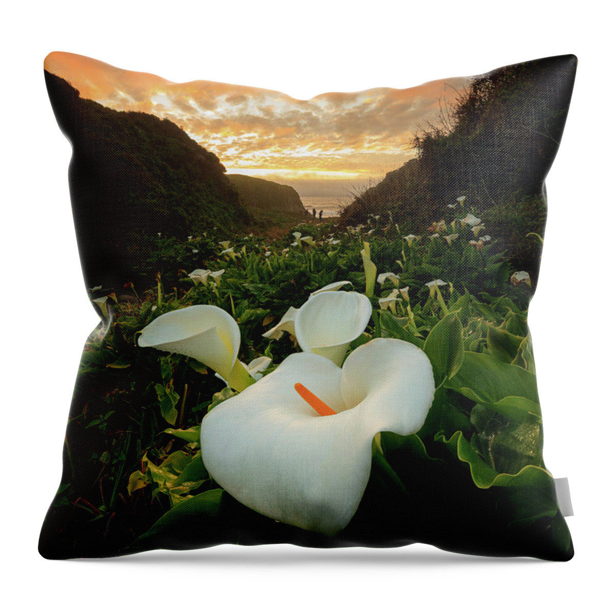 Sunset Throw Pillow featuring the photograph Sunset Over The Flowers by Erick Castellon