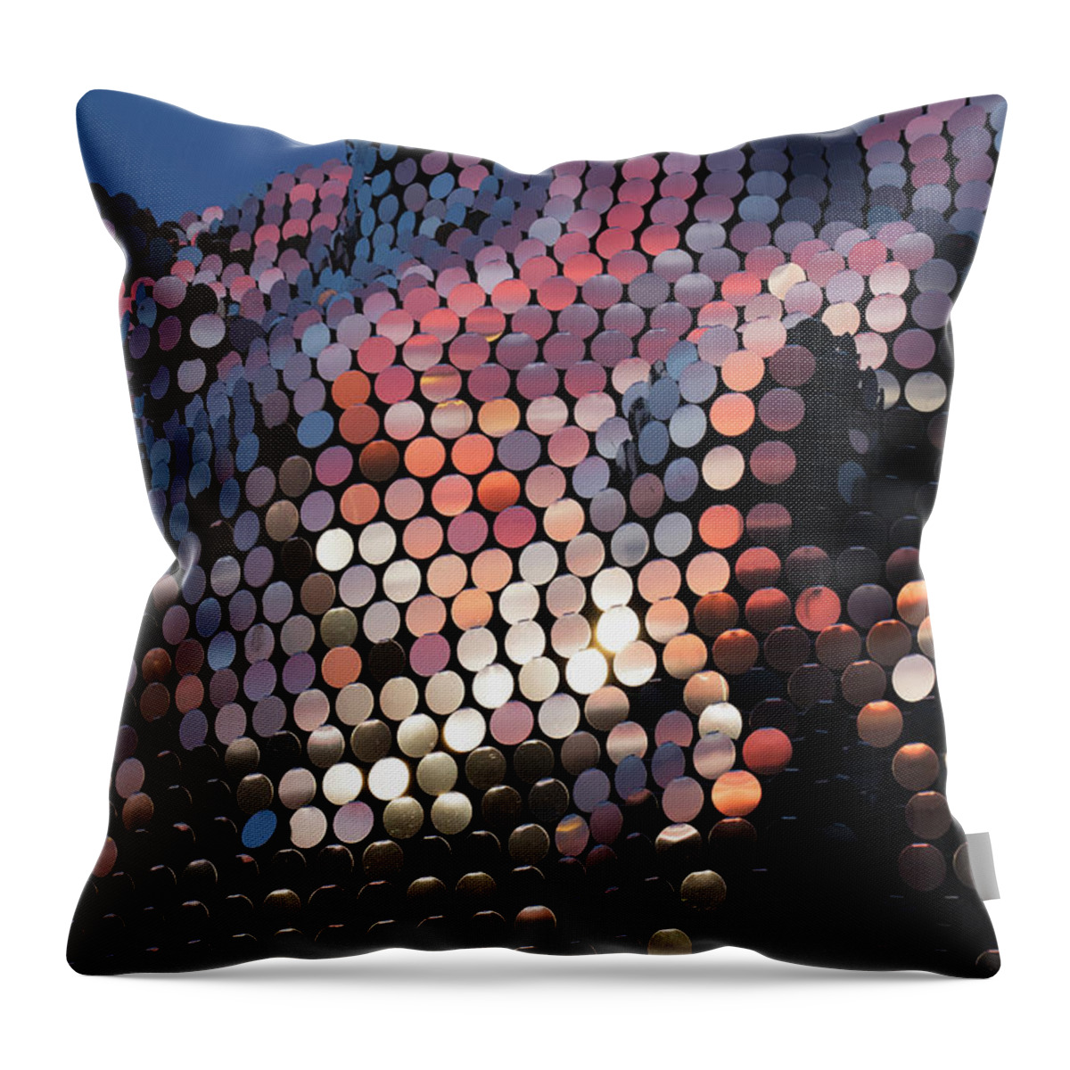 Subtile Throw Pillow featuring the photograph Sunset Reflection in Subtile Sculpture by Gary Geddes