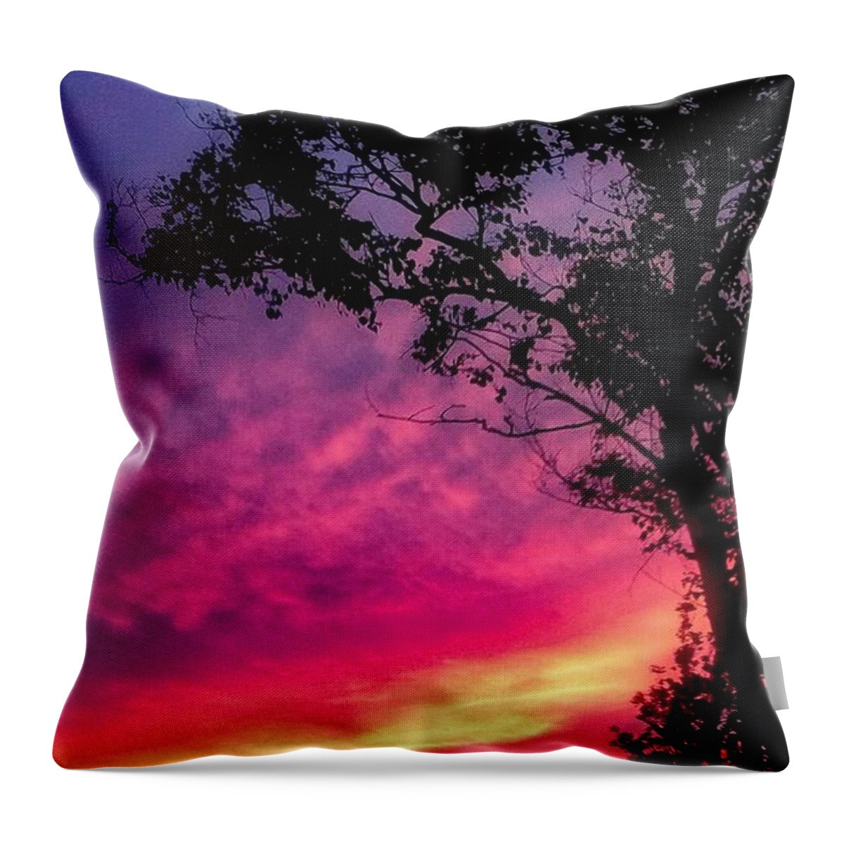 Sunset  Throw Pillow featuring the photograph Sunset with a tree by Kelsea Peet