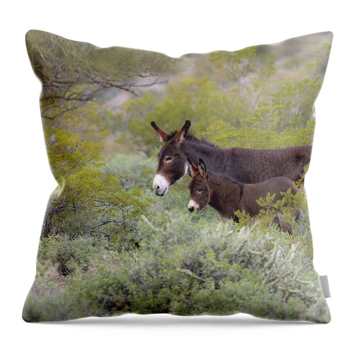 Wild Burro Throw Pillow featuring the photograph Surrounded by Mary Hone