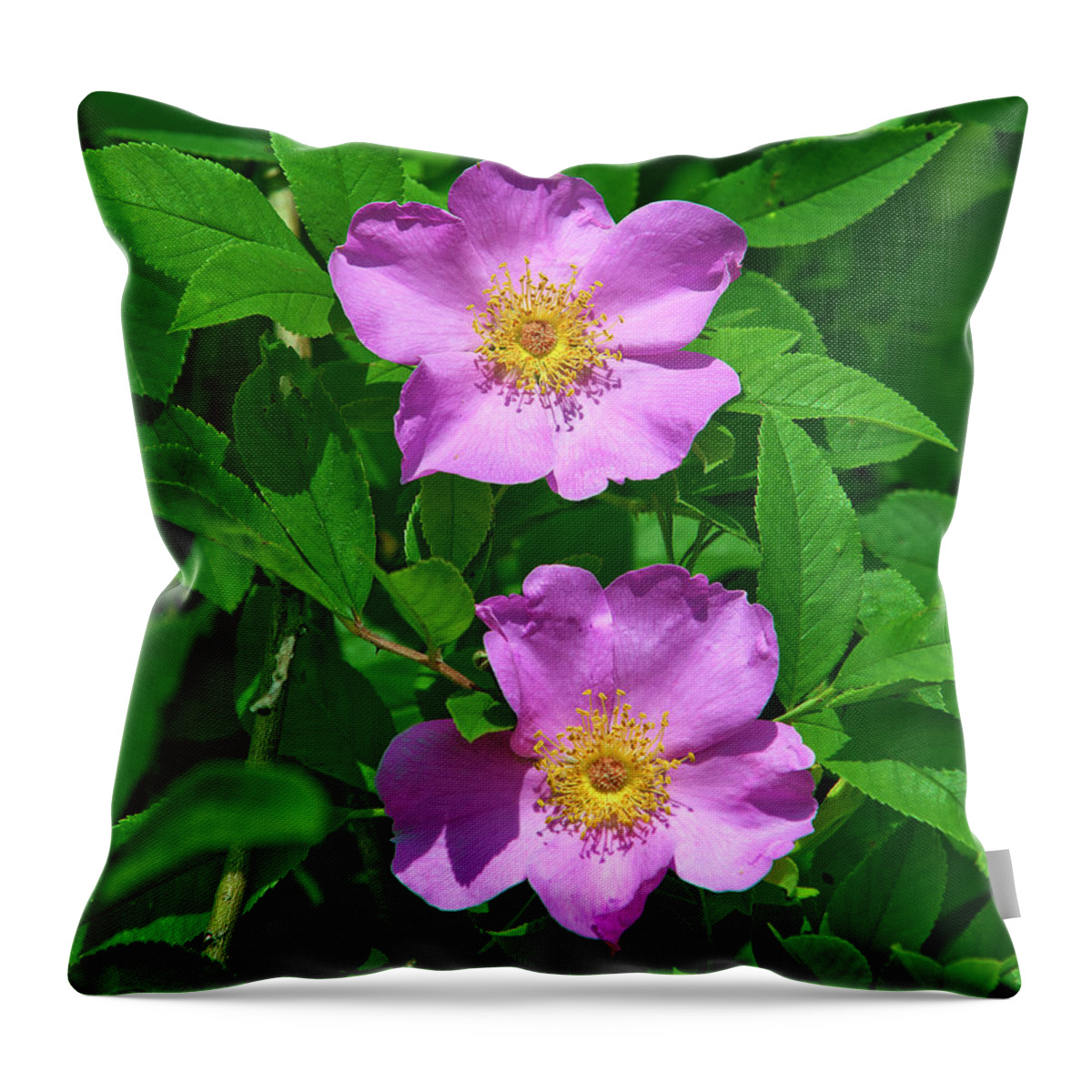 Nature Throw Pillow featuring the photograph Swamp Roses Rosa palustris DSMF179 by Gerry Gantt