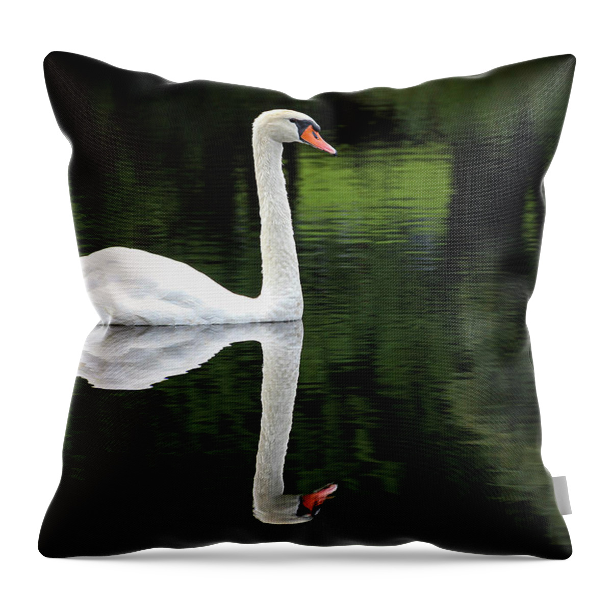 Petoskey Throw Pillow featuring the photograph Swan at Spring Lake by Robert Carter