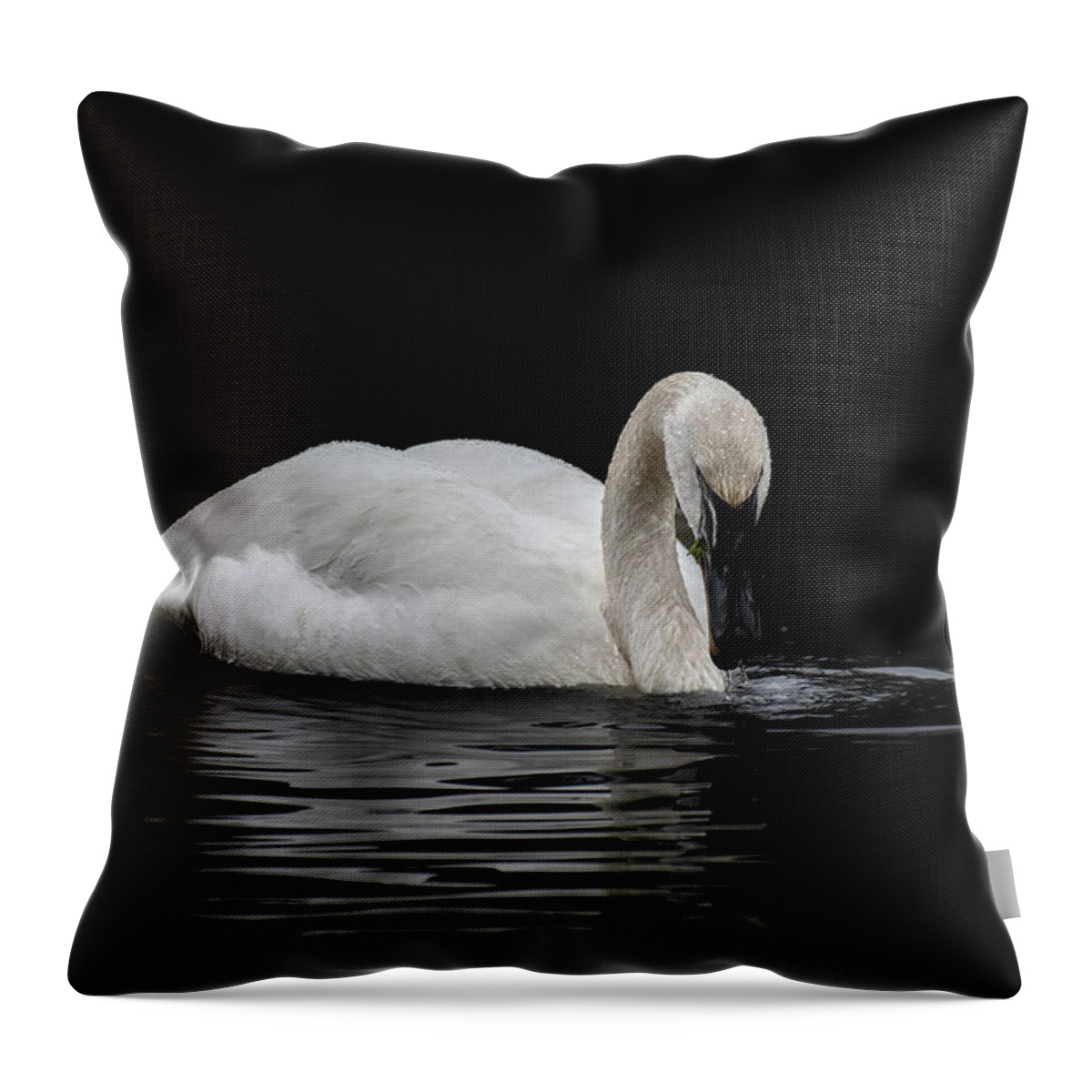 Swan Throw Pillow featuring the photograph Swan by Jerry Cahill