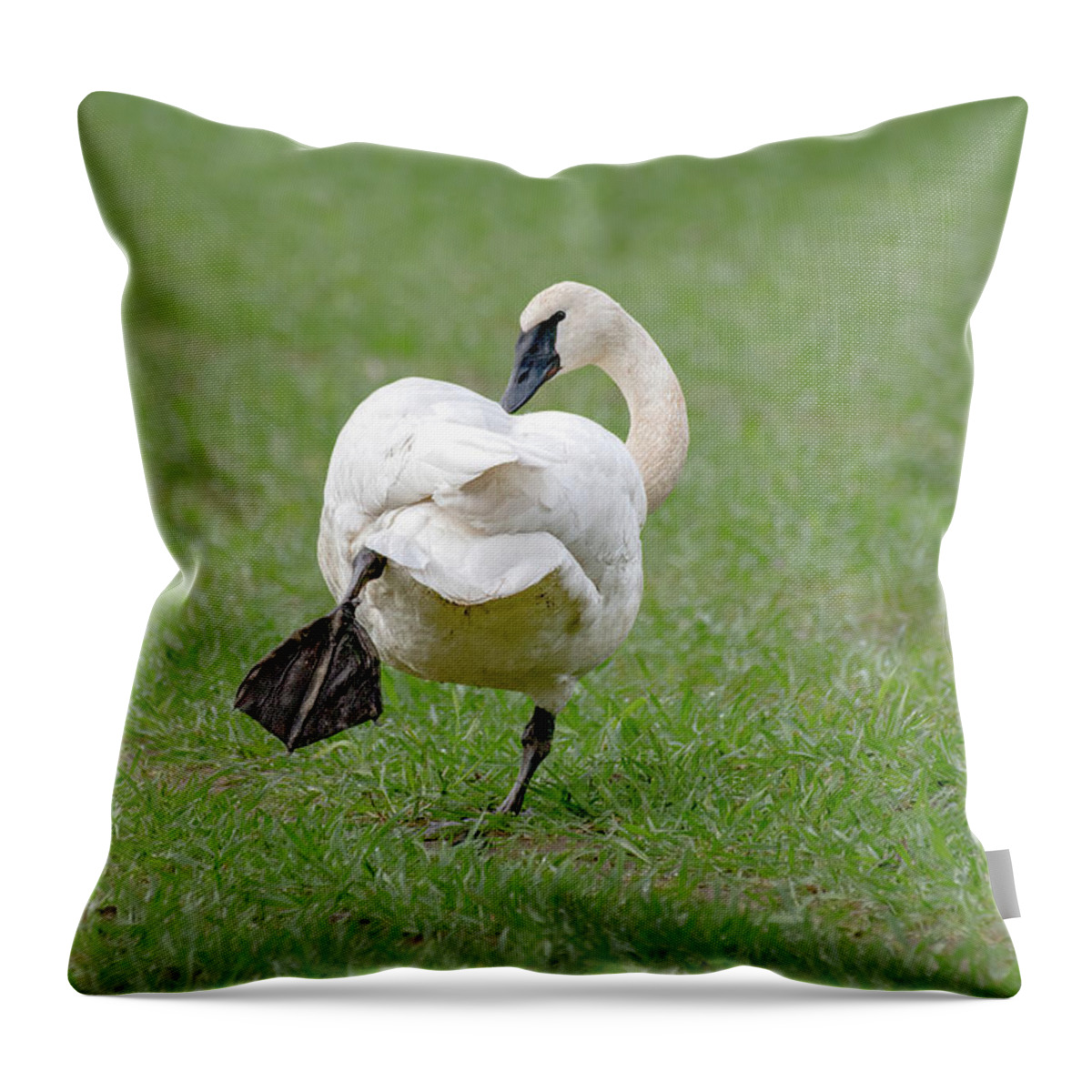 Swan Throw Pillow featuring the photograph Swan Yoga by Jerry Cahill