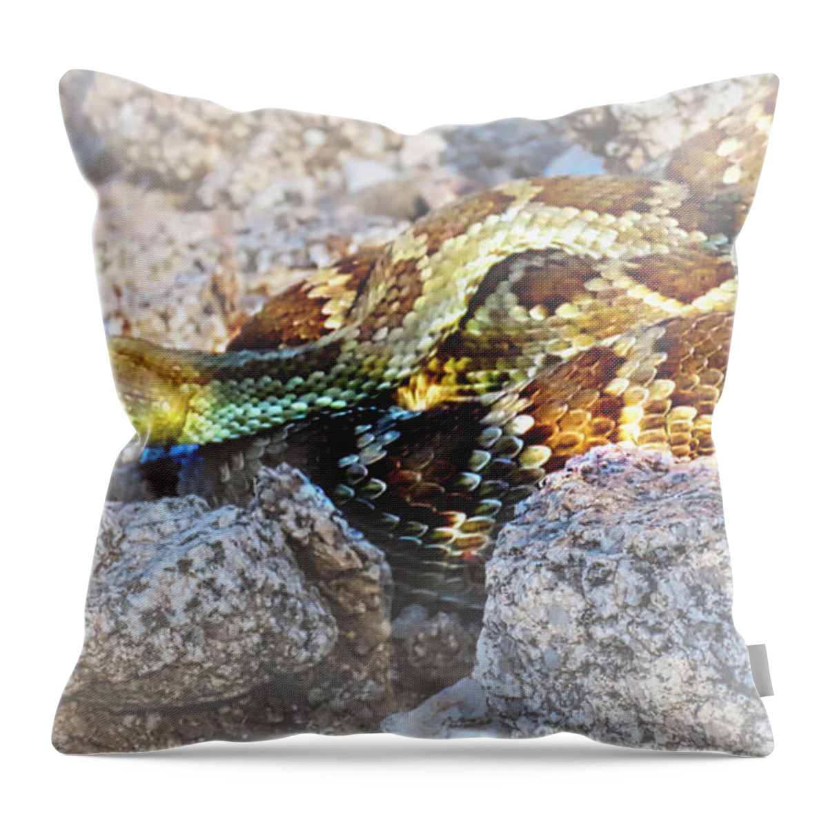 Affordable Throw Pillow featuring the photograph Sweet Honey in the Rock by Judy Kennedy