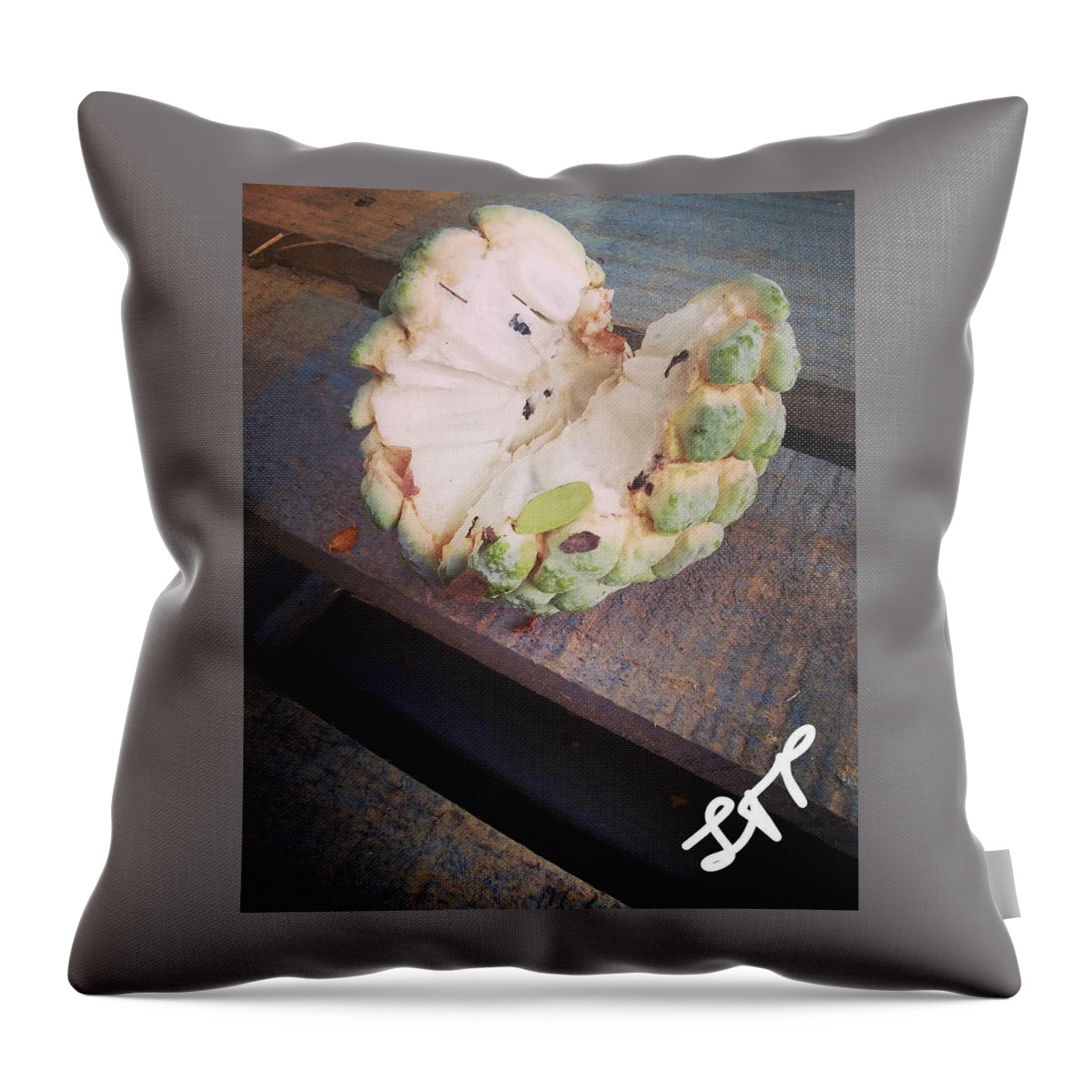 Sugar Throw Pillow featuring the photograph Sweet Like a Sugar Apple by Esoteric Gardens KN