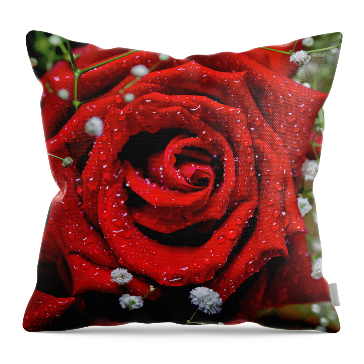 Beautiful Red Rose Flower Throw Pillow featuring the photograph Sweet Valentine by Az Jackson