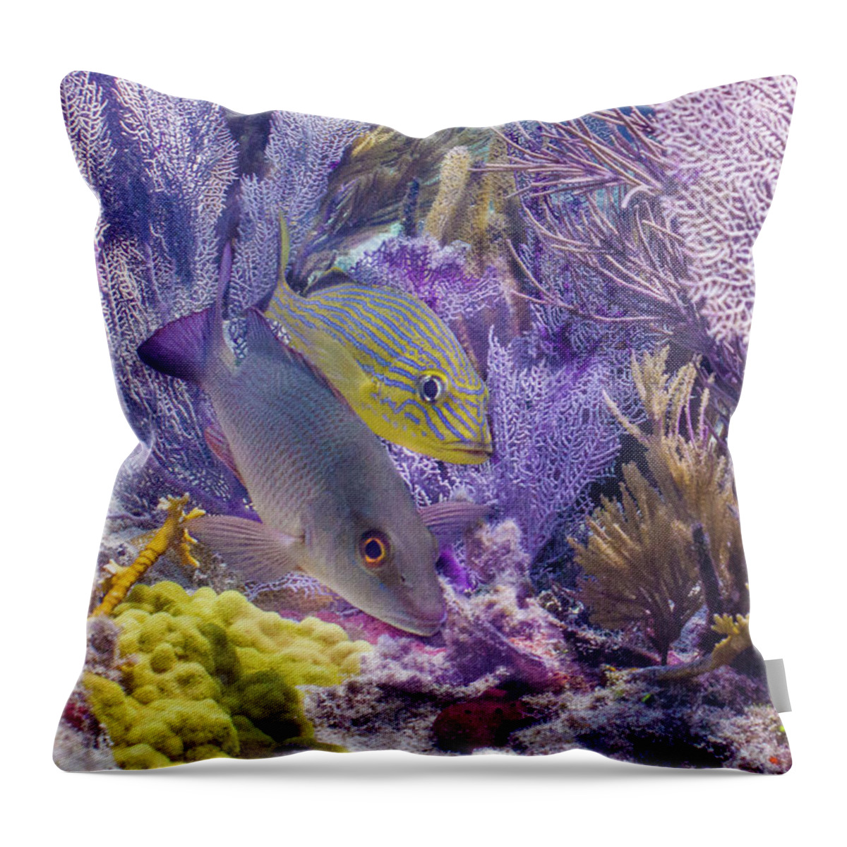 Animals Throw Pillow featuring the photograph Swim WIth Me by Lynne Browne