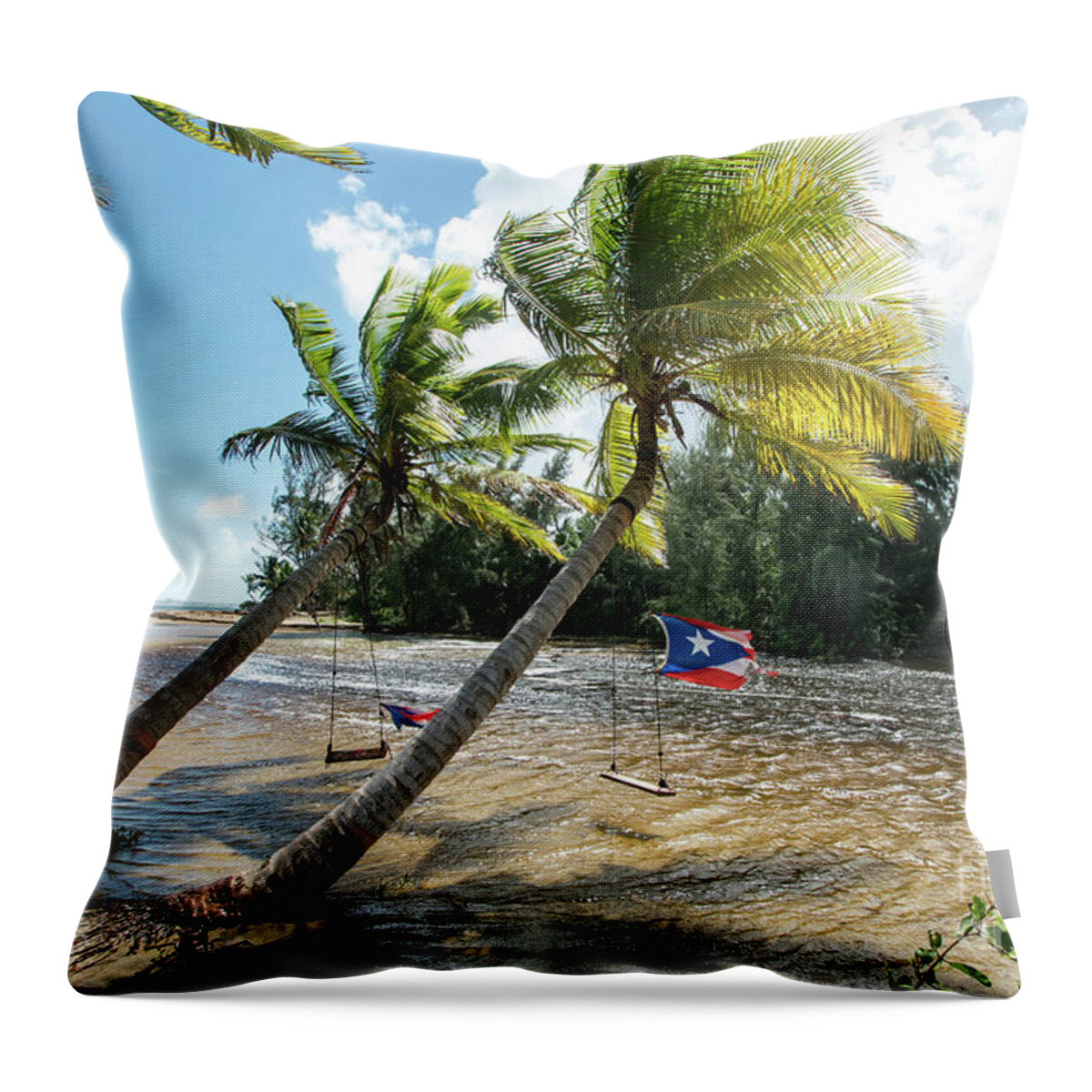 Swinging Throw Pillow featuring the photograph Swinging Under The Palm Trees, Loiza, Puerto Rico by Beachtown Views