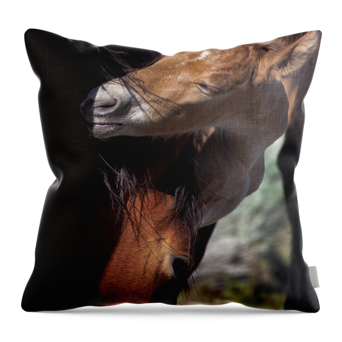  Throw Pillow featuring the photograph _t__1038 by John T Humphrey