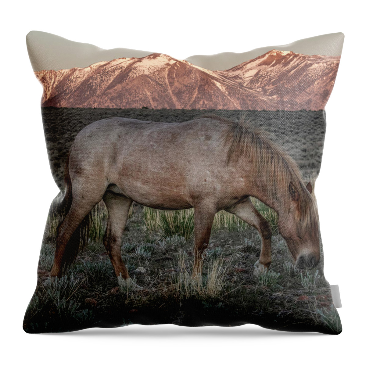  Throw Pillow featuring the photograph _t__2194 by John T Humphrey