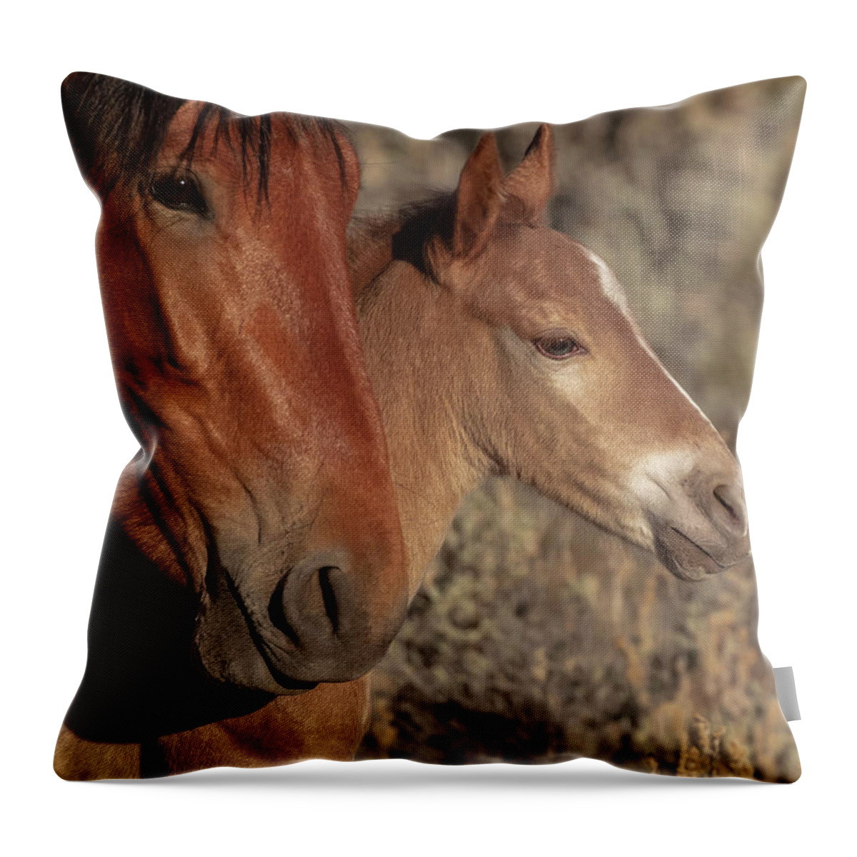  Throw Pillow featuring the photograph _t__9121 by John T Humphrey