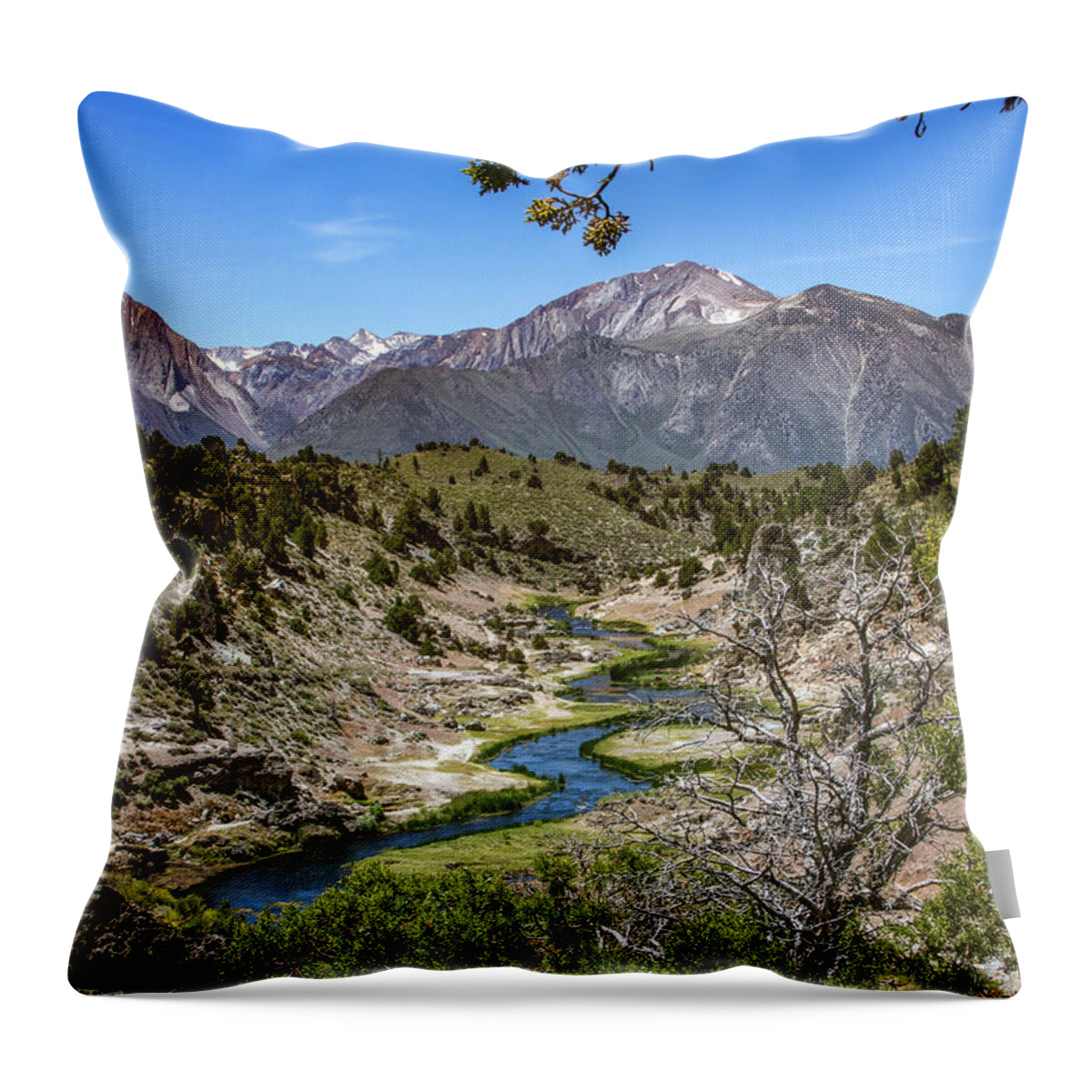  Throw Pillow featuring the photograph _t__9337 by John T Humphrey