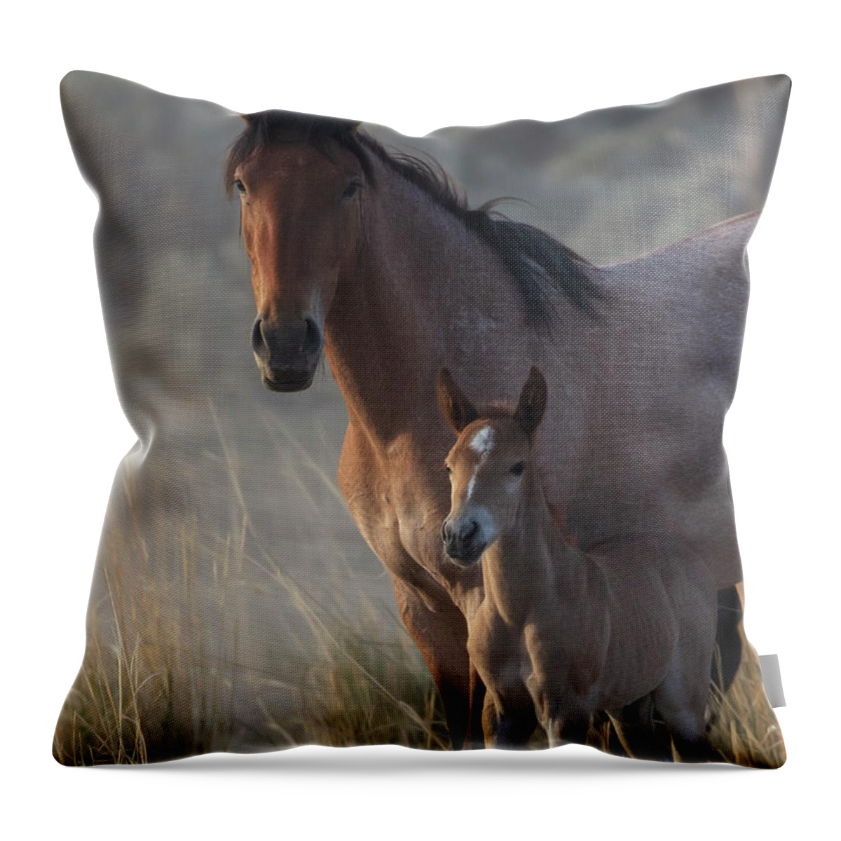 Throw Pillow featuring the photograph _t__9496 by John T Humphrey