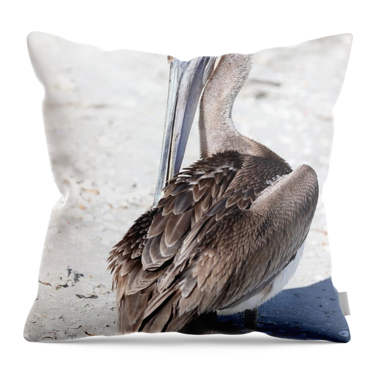 Pelicans Throw Pillow featuring the photograph Close Up of Pelican by Mingming Jiang