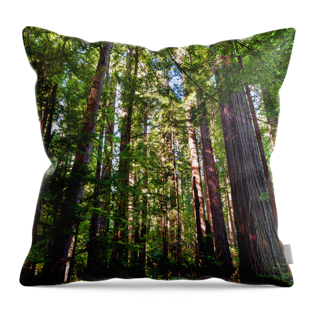 California Throw Pillow featuring the photograph Tall California Redwoods 920 by Dan Carmichael