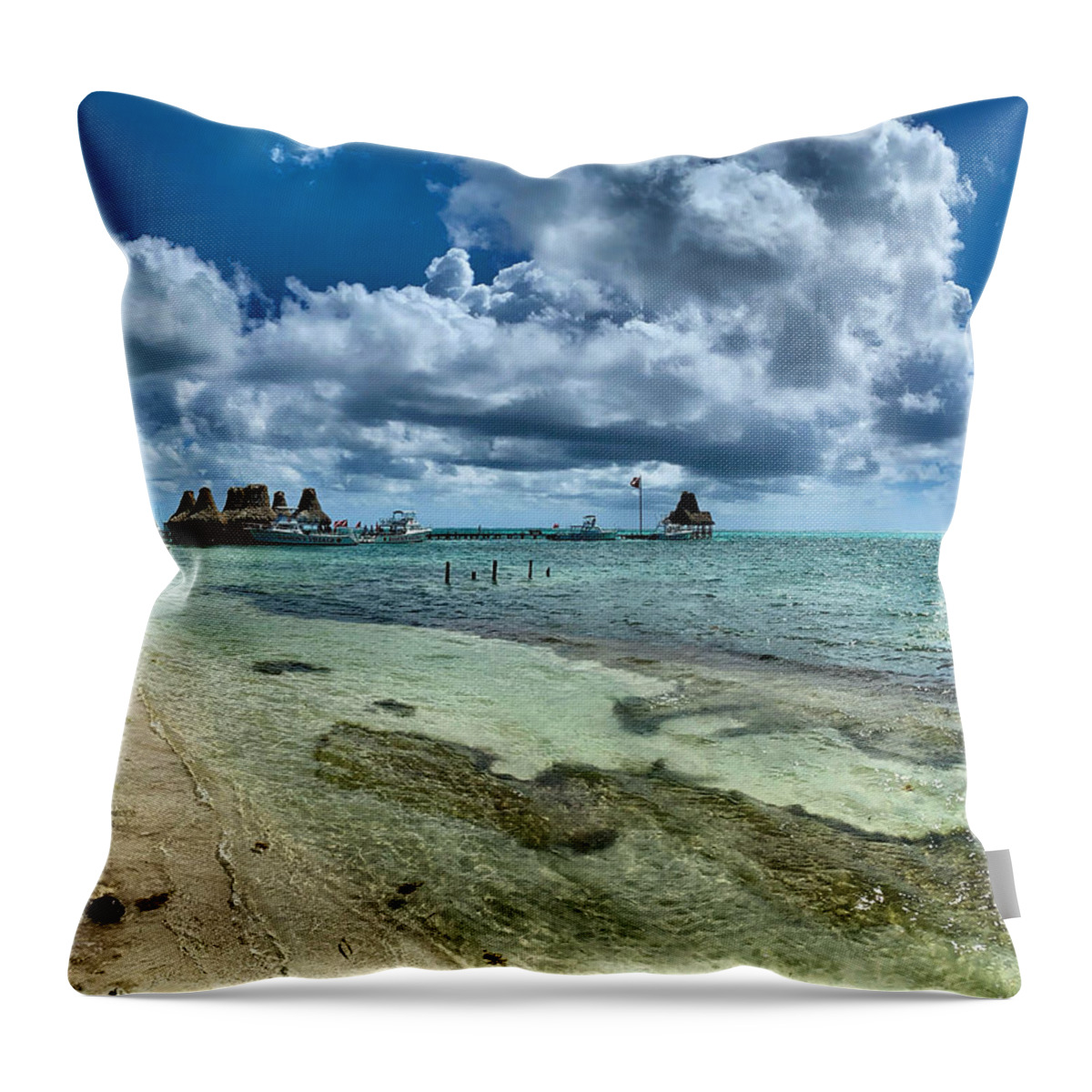 Caribbean Throw Pillow featuring the photograph Tarpon Time by Devin Wilson