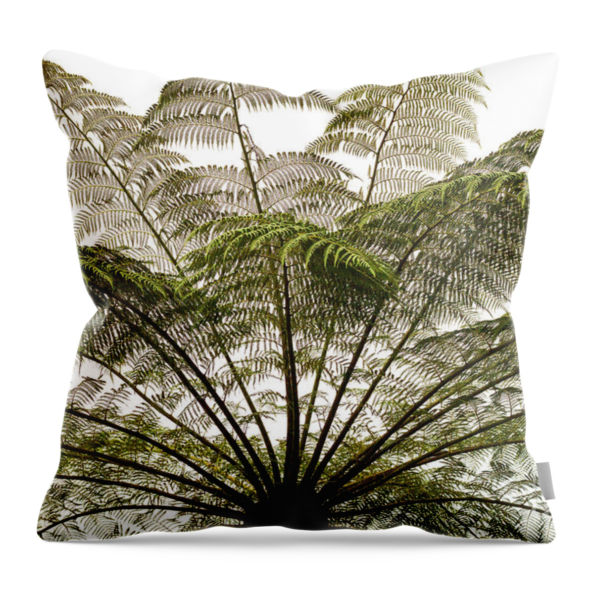 Tasmania Throw Pillow featuring the photograph Tasmanian Tree Fern Canopy by Elaine Teague