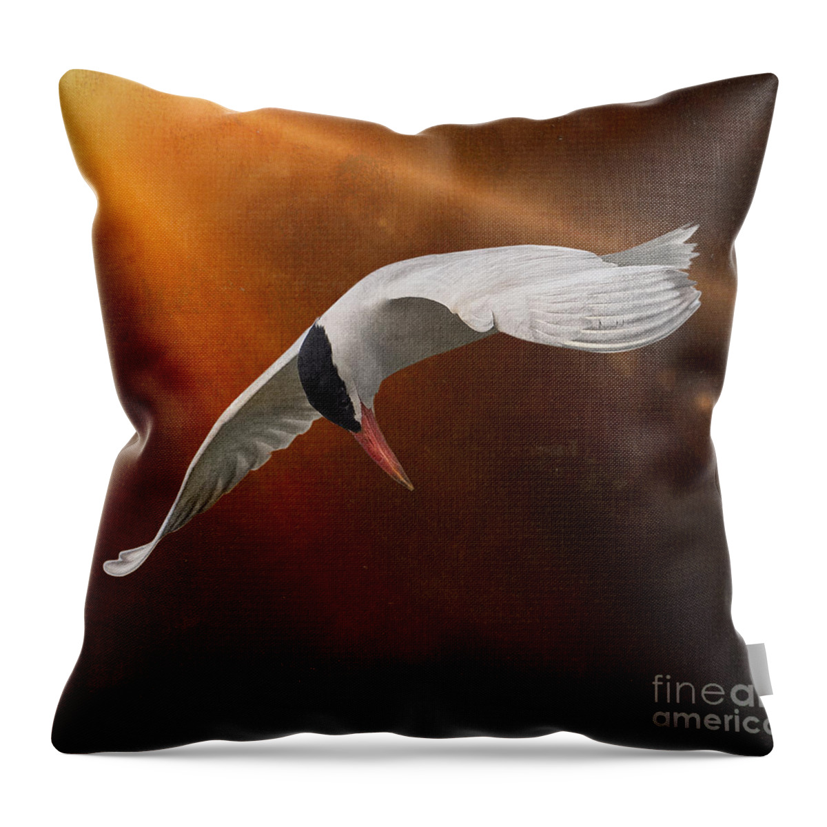 Caspian Tern Throw Pillow featuring the photograph Terned Into Art by Sandra Rust