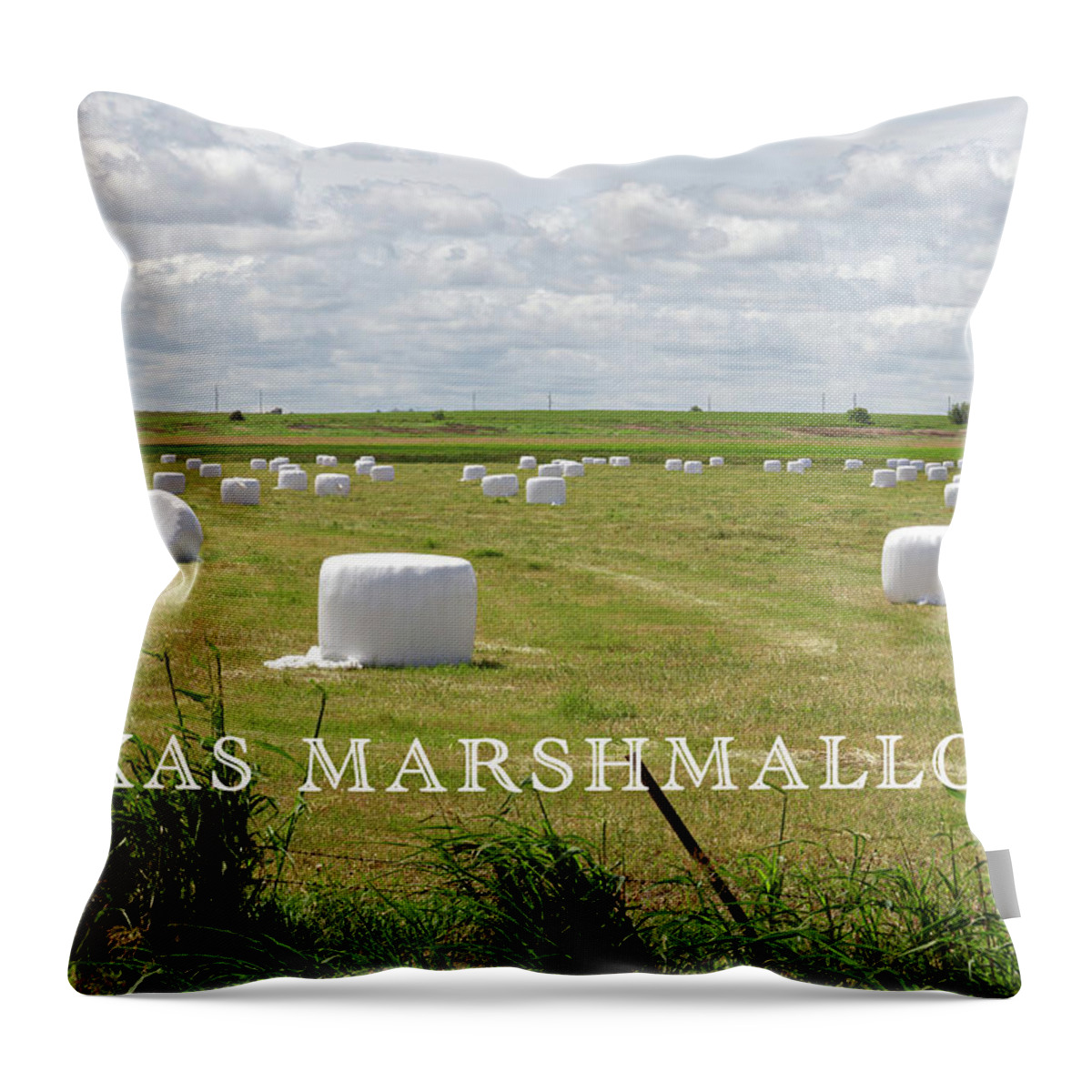 Harvest Throw Pillow featuring the photograph Texas Marshmallows by Steve Templeton