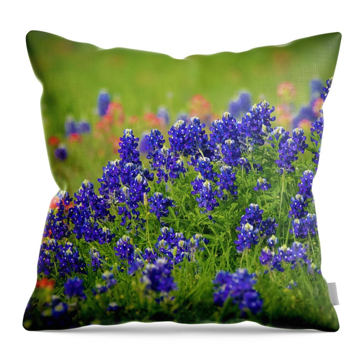 Bluebonnets Throw Pillow featuring the photograph Texas Wildflowers by Pam Rendall