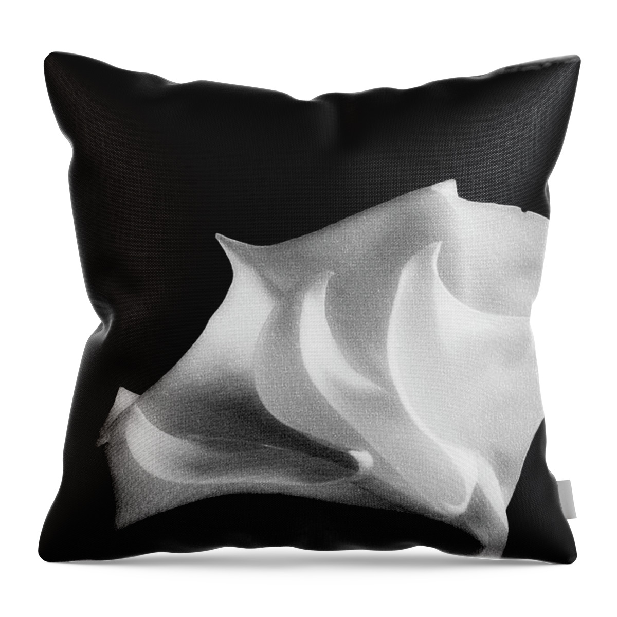  Throw Pillow featuring the photograph That Wet And Unholy Heat by Cynthia Dickinson