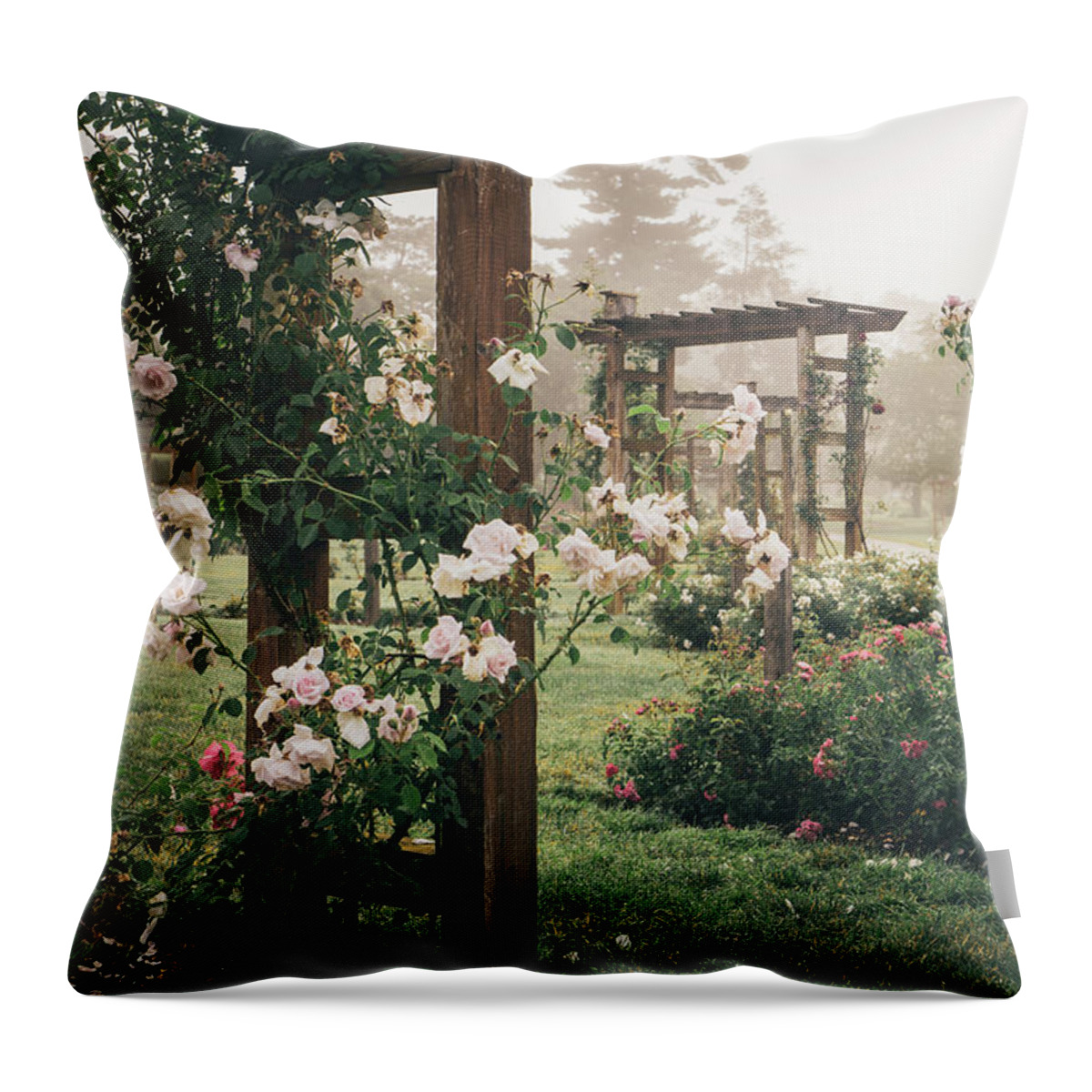 Allentown Throw Pillow featuring the photograph The Arbors of the Allentown Rose Gardens by Jason Fink
