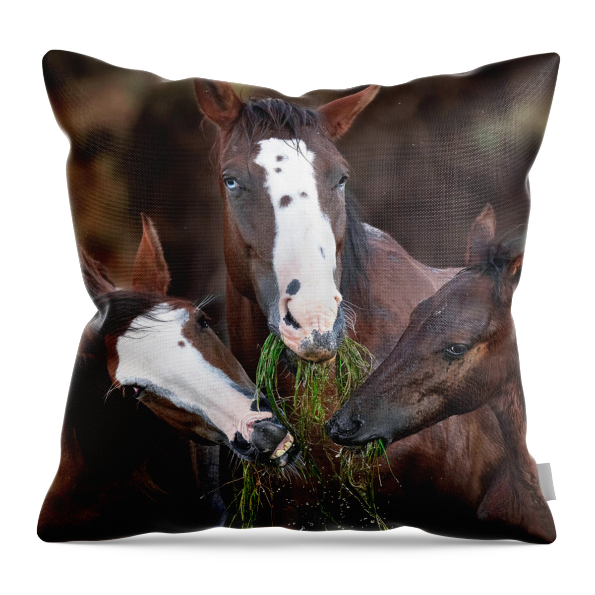 Stallion Throw Pillow featuring the photograph The Blue-Eyed Mare. by Paul Martin