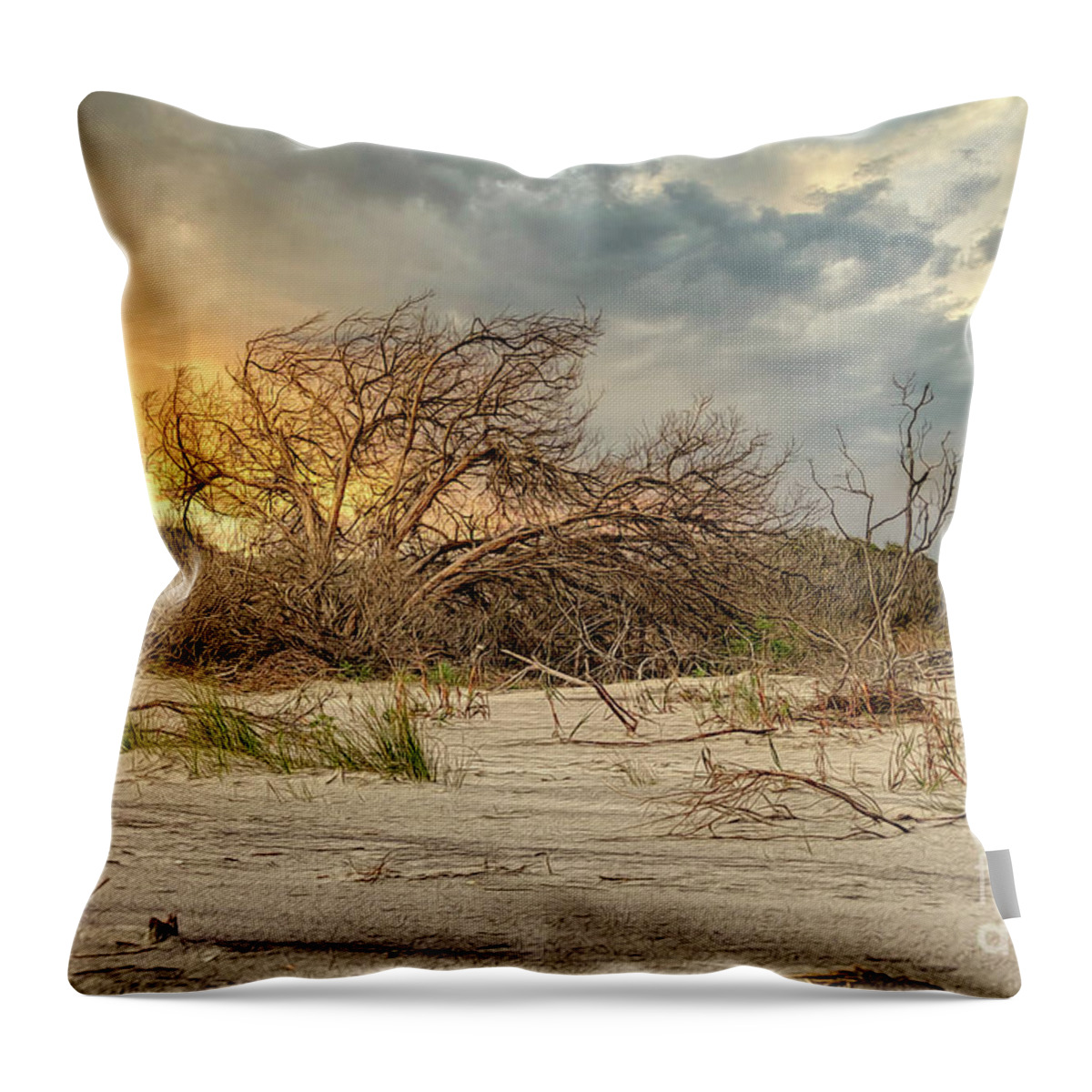 Scenic Throw Pillow featuring the photograph The Burning Bush by Kathy Baccari