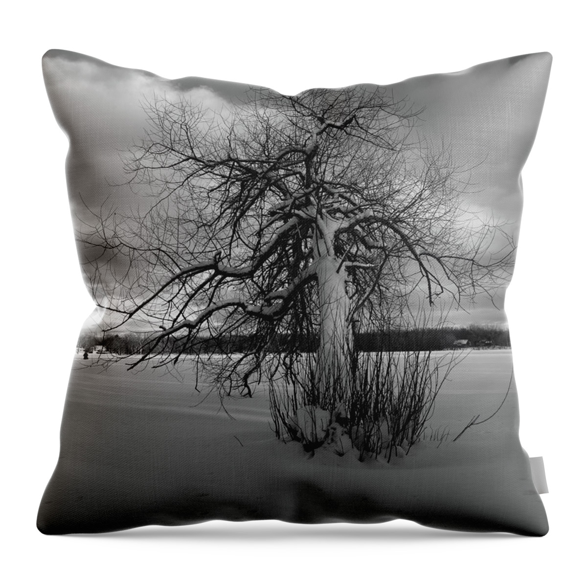 Snow Throw Pillow featuring the photograph The calm after the storm by Carl Marceau